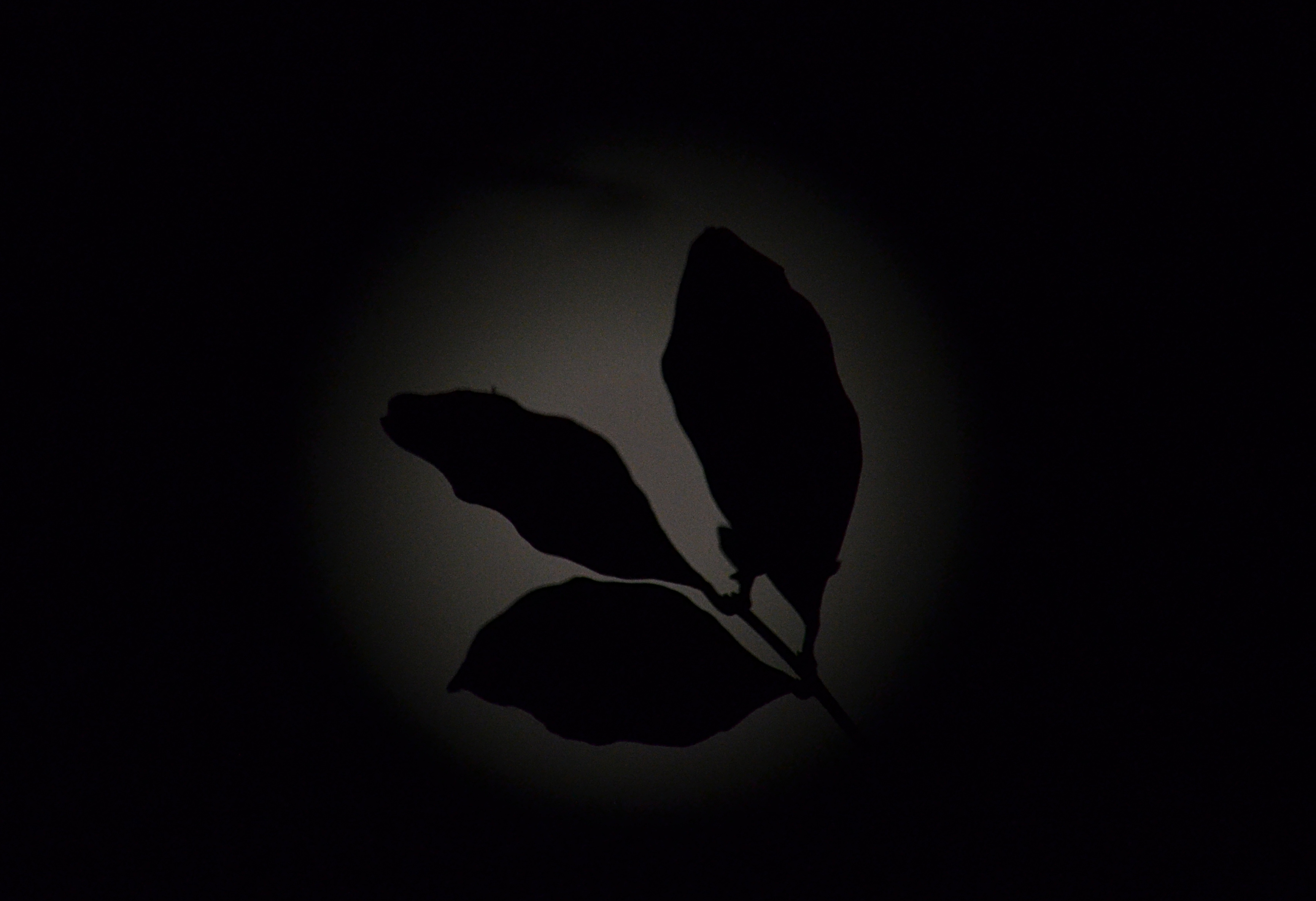 Supermoon in Srinagar,Kashmir