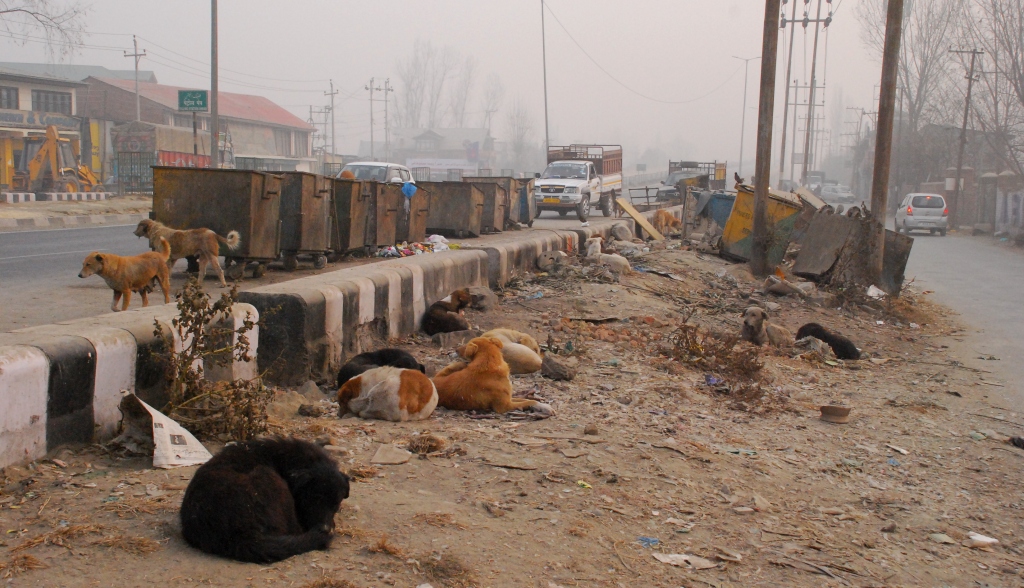 ????????????????????????????????????