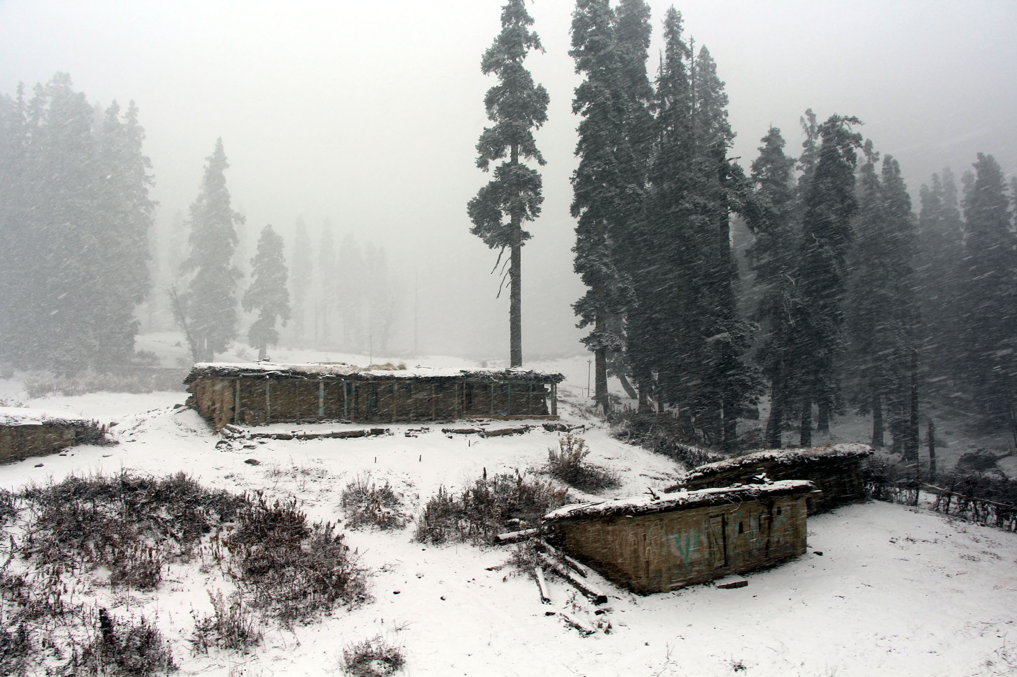 seasons-first-snowfall-in-gulmarg-photo-by-nissar-malik-4