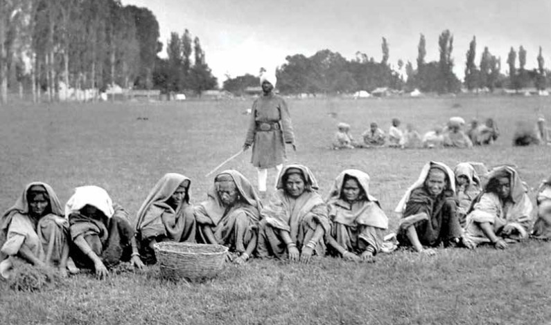 MISERY AND MURDER in Mother’s land