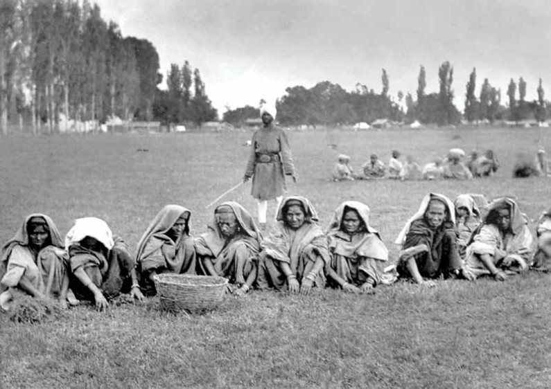 MISERY AND MURDER in Mother’s land