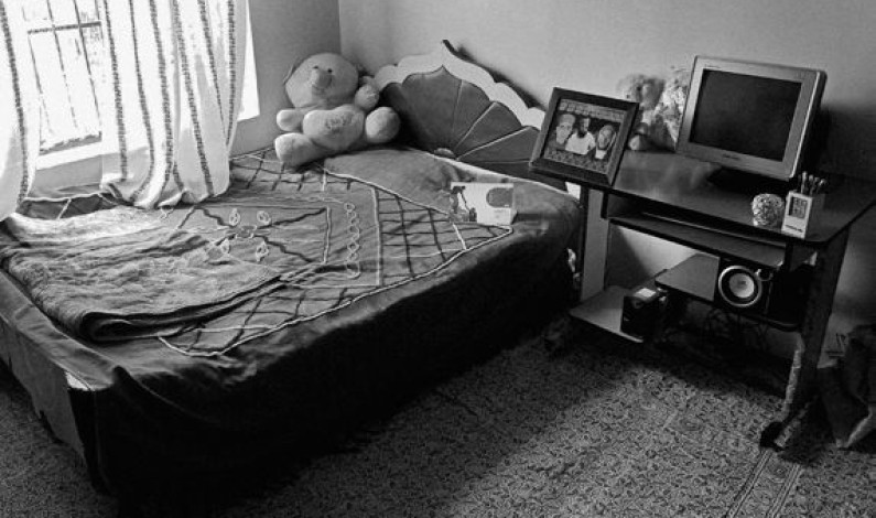 Teddy bears and flying kicks