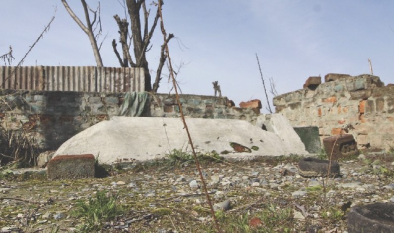 Tale of a fictitious pir and a reverent donkey