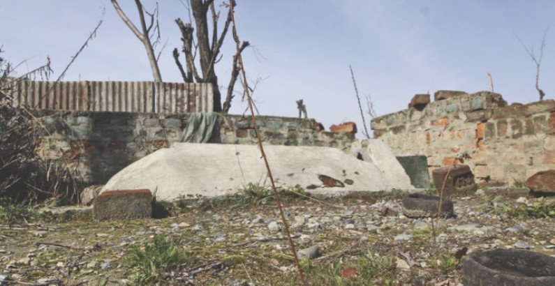 Tale of a fictitious pir and a reverent donkey