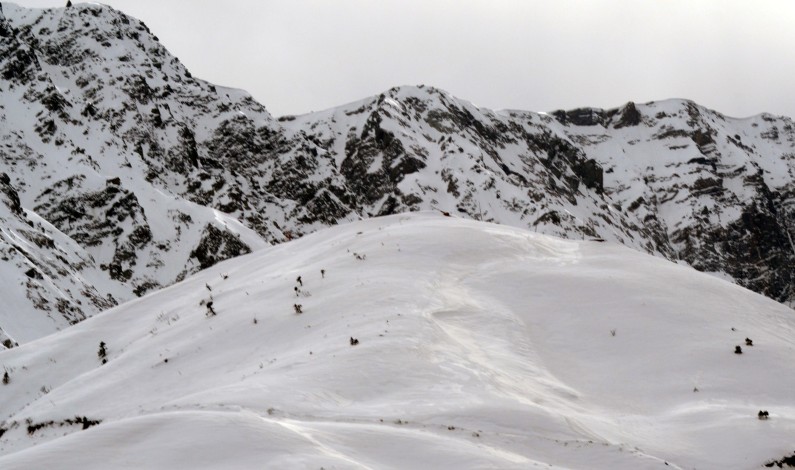 Season’s first snowfall in Gulmarg