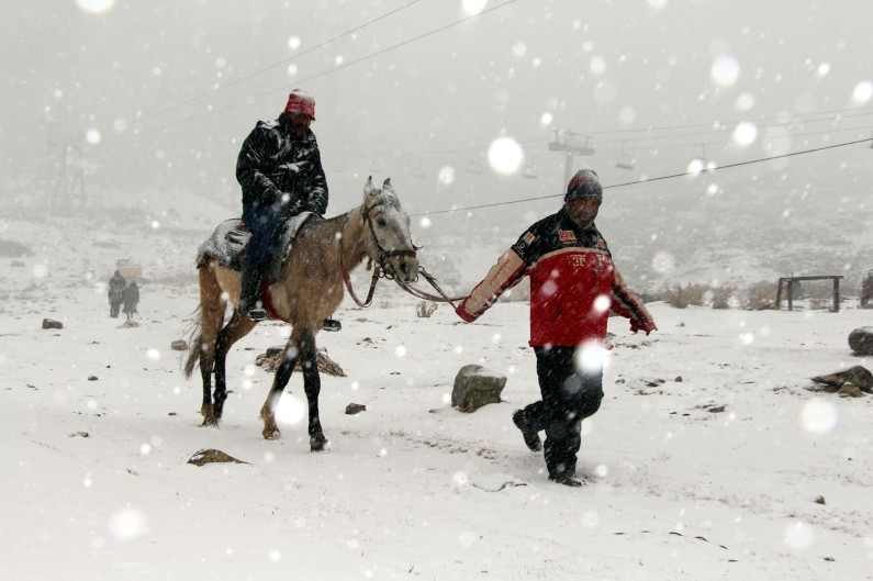 Fresh snowfall in Gulmarg