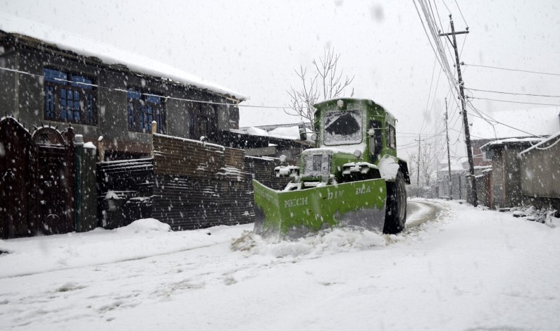 Snowfall in pictures