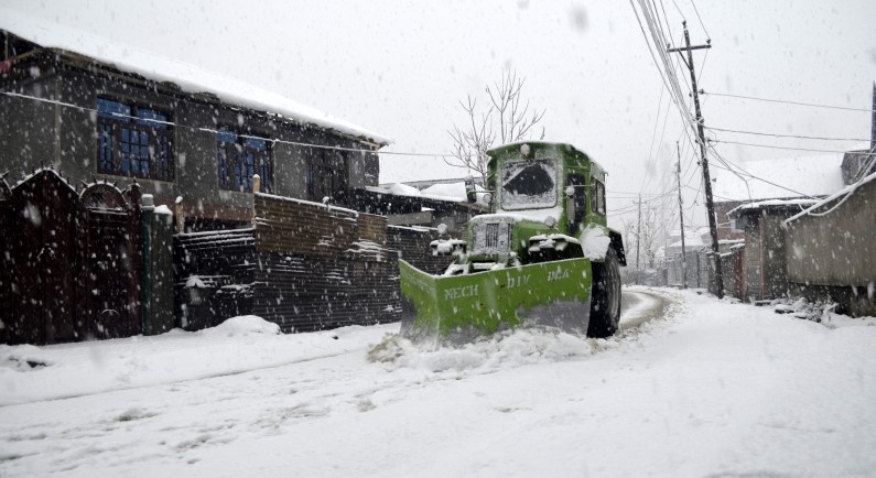 Snowfall in pictures