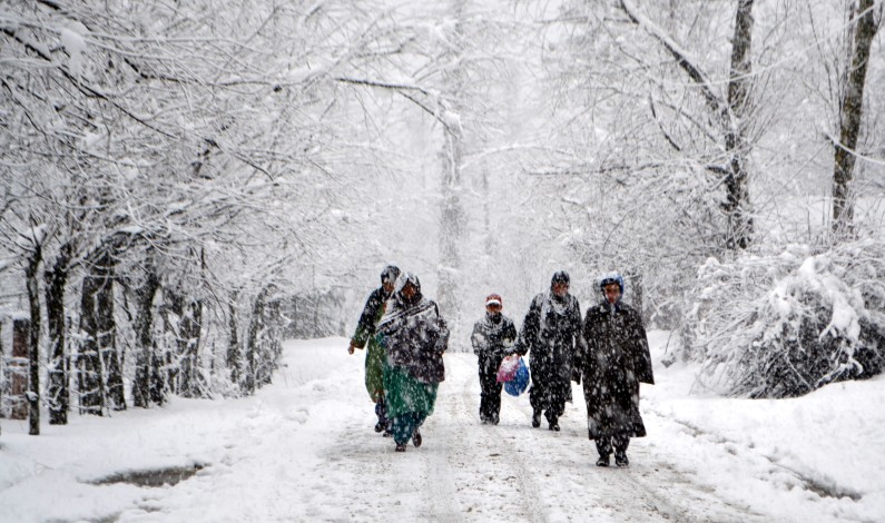 Fresh snowfall in Kashmir