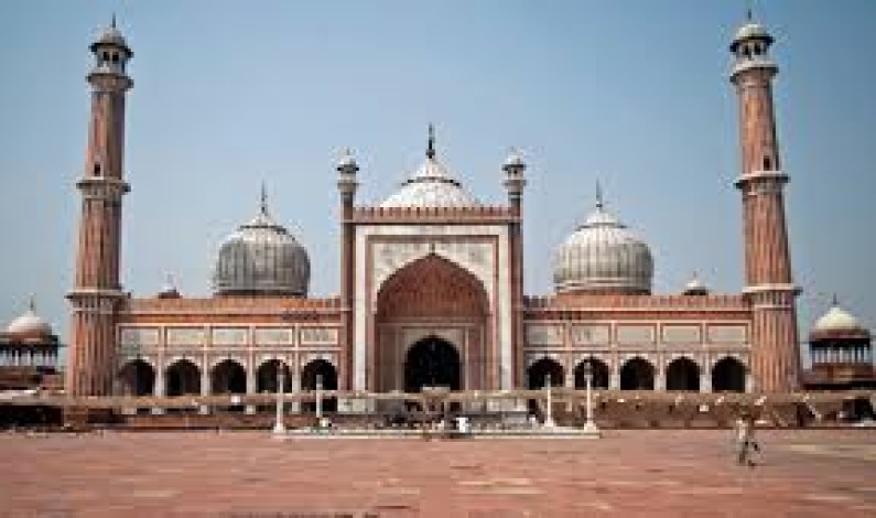 Delhi’s Jama Masjid was Yamuna mandir: RSS thinker